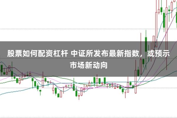 股票如何配资杠杆 中证所发布最新指数，或预示市场新动向