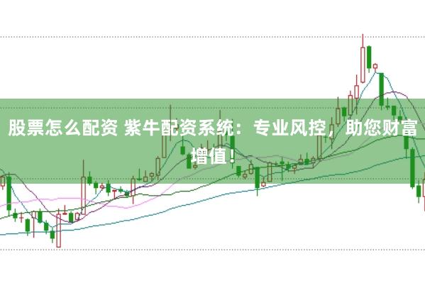 股票怎么配资 紫牛配资系统：专业风控，助您财富增值！