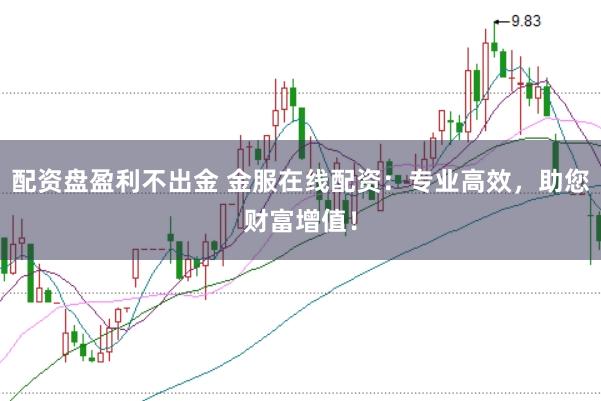 配资盘盈利不出金 金服在线配资：专业高效，助您财富增值！