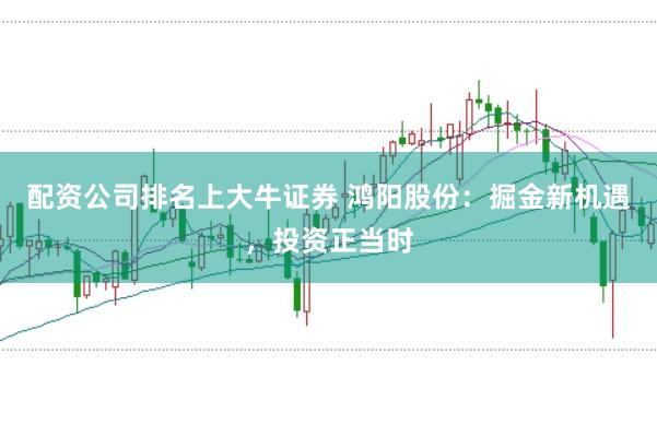 配资公司排名上大牛证券 鸿阳股份：掘金新机遇，投资正当时