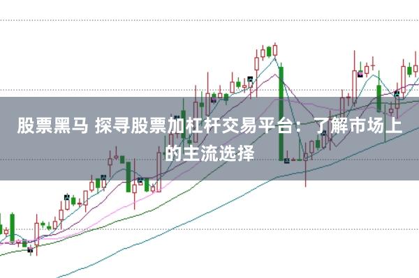 股票黑马 探寻股票加杠杆交易平台：了解市场上的主流选择
