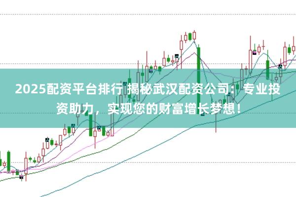 2025配资平台排行 揭秘武汉配资公司：专业投资助力，实现您的财富增长梦想！
