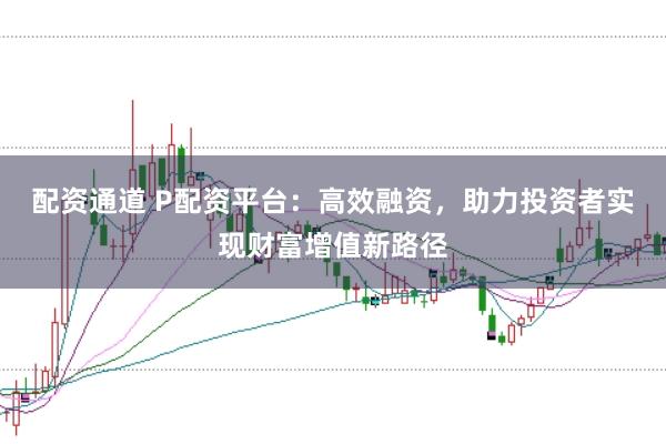 配资通道 P配资平台：高效融资，助力投资者实现财富增值新路径